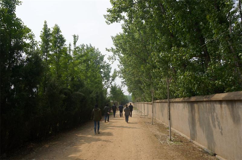 西楊莊:白云天上飄 水環(huán)莊中繞(圖15)