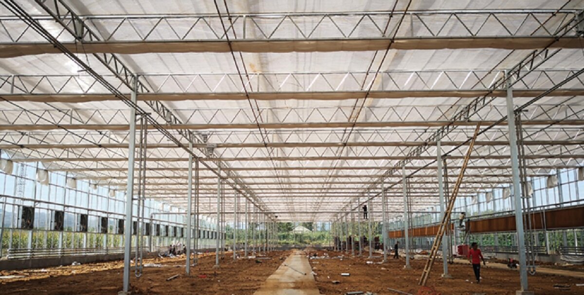 信橋鋼構：打卡蒙陰農(nóng)業(yè)溫室大棚、青州黑牛養(yǎng)殖基地！(圖3)